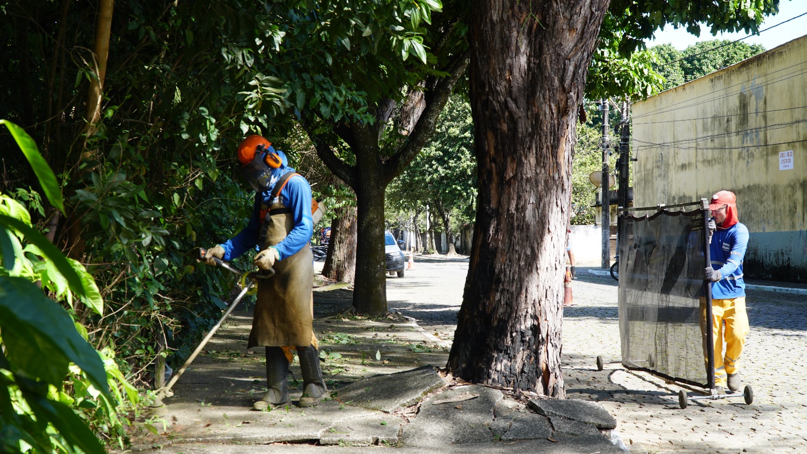 WhatsApp Image 2024-09-30 at 08.34.57.jpeg